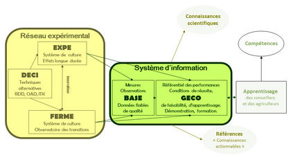 Organigramme projet réseau Ecophyto R&D